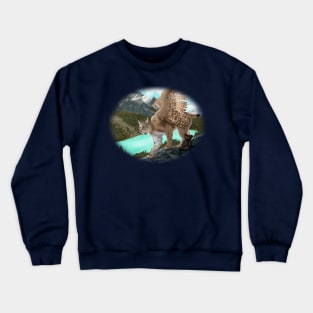 Czara Crewneck Sweatshirt